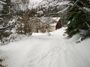 IMG_20160304_125601
